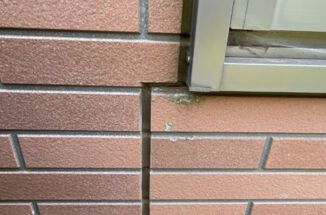 土浦市で住友林業の家 塗替えのご相談！コケが生えた北面は防カビ剤添加での塗装をご提案！