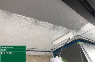 龍ヶ崎市で付帯部塗装。軒天はマルチエースⅡ、樋はフッ素ＵＶコート溶剤で耐候性を向