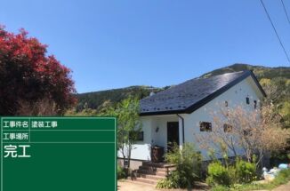 石岡市｜雨漏りに悩むツタの絡まる家。ツタを除去して雨漏り修理・防水塗装