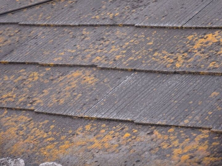 石岡市現場調査屋根①20070