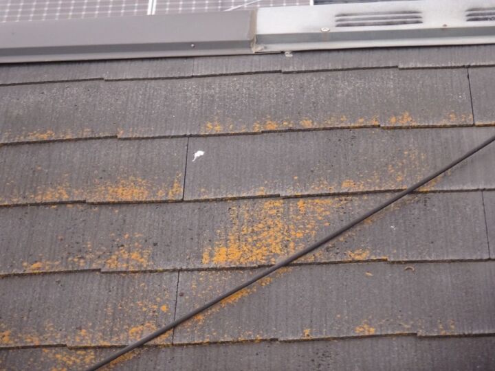 石岡市現場調査屋根20070