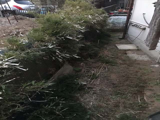 土浦市空き家_除草伐採_0305_M00048(1)