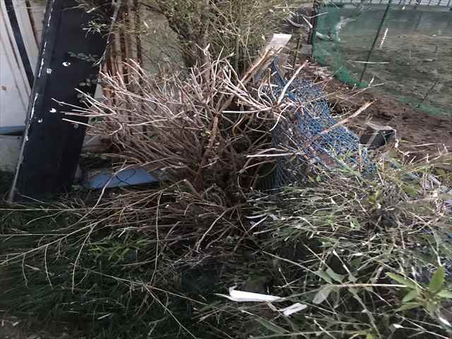 土浦市空き家_除草伐採_0305_M00048(2)