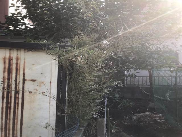 土浦市空き家_除草伐採_0305_M00048(3)