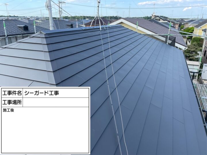 石岡市シーガード4_20070