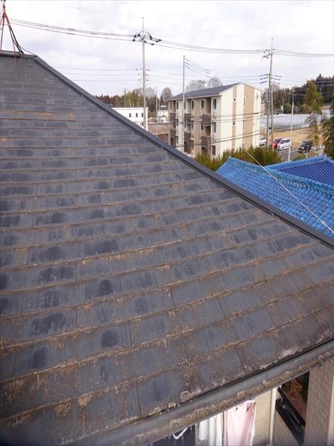 かすみがうら市_現地調査_スレート屋根_0131_M00049(2)