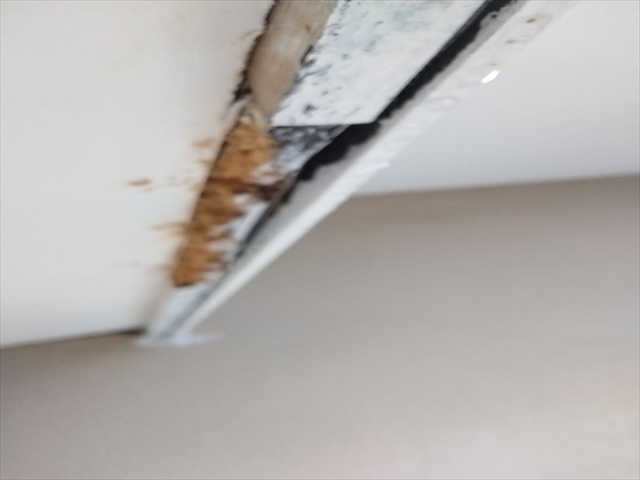 土浦市空き家_破風裏補修_0320_M00048(3)