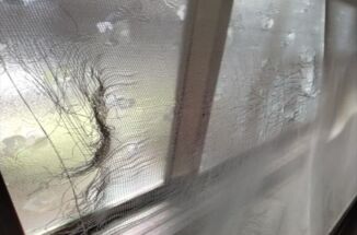 土浦市の空き家リフォーム。網戸の張り替えをおこないました