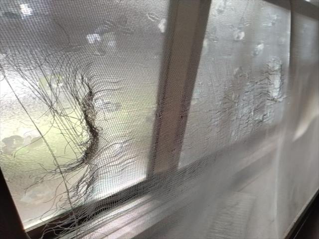 土浦市空き家_網戸張替え_0416_M00048(1)