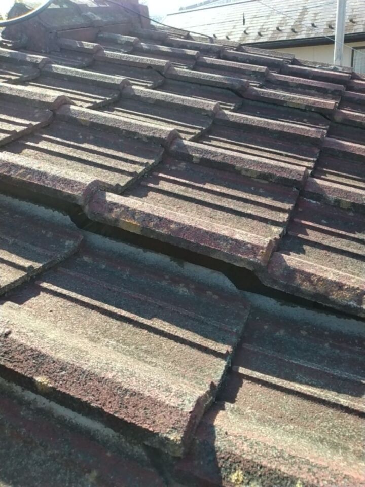 かすみがうら市現調屋根20071
