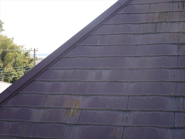 ishioka_genchityosa_yane_0223_M00050(1)