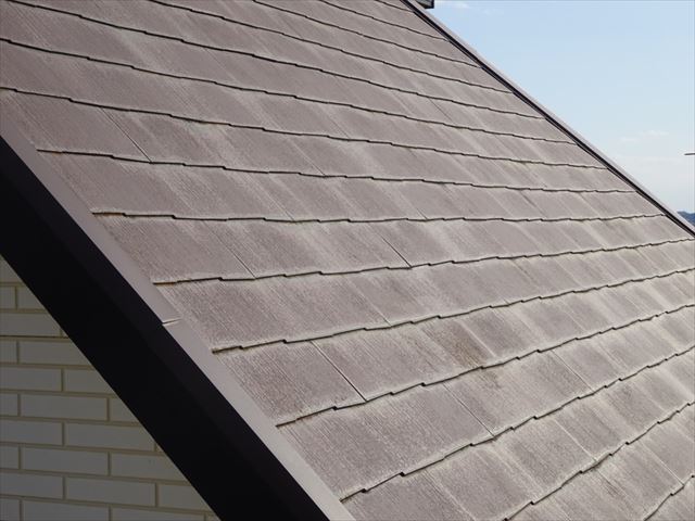 ishioka_genchityosa_yane_0223_M00050(4)