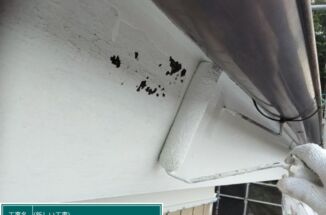 石岡市で塗装メンテナンス！色褪せと塗膜剥がれがあった破風＆雨樋を塗り替え！
