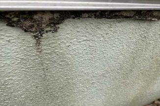 石岡市で現地調査。モルタルが剥がれて黒ずみ！雨漏りでたわんだ軒天