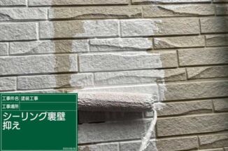 石岡市、黒カビが発生した外壁に防カビ塗装。汚れにくい外壁になりました!