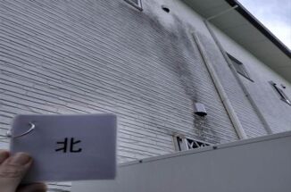 石岡市で現地調査。外壁に出来た黒い汚れの原因は?!