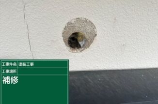 かすみがうら市で外壁にあいた穴を補修！塗装に備えます