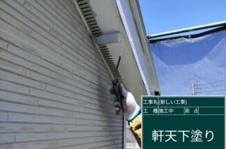 石岡市、築8年の軒天には蜘蛛の巣が?!洗浄と塗装でカビや藻に強い軒天になりました