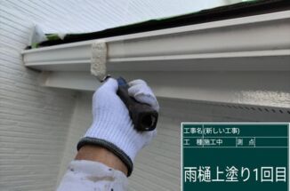 石岡市 築8年の汚れていた雨樋を防カビ塗装しました