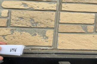 かすみがうら市で現地調査。サイディング外壁に苔発生！外壁の欠けもありました