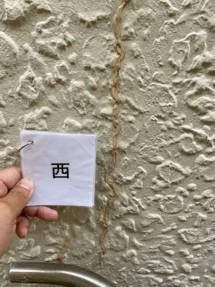 かすみがうら市_現場調査_外壁20089