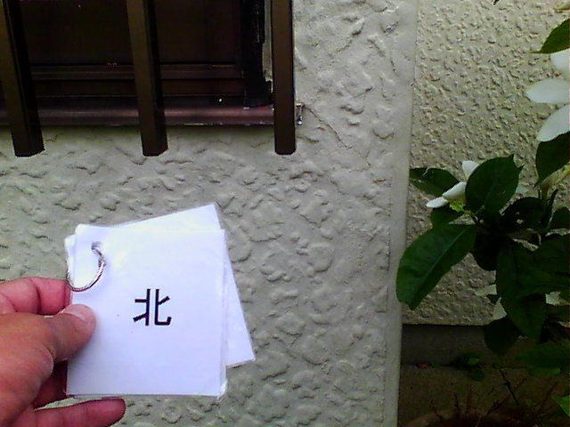 かすみがうら市_現場調査_外壁サーモカメラ20089