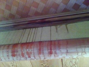 石岡市_散水調査_20090