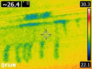 石岡市_散水調査_20090