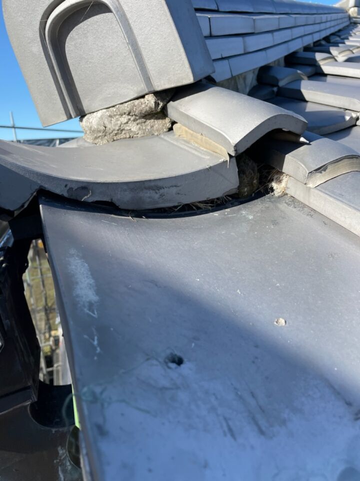 石岡市_現場調査屋根_20090