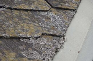 かすみがうら市で現地調査。スレート屋根のセイバリービスタブラックが苔だらけです！