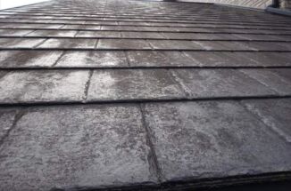 小美玉市で現地調査。スレート屋根の溝に沿って苔が生えていました