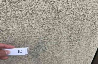 かすみがうら市で、築35年 前回塗装から10年経過したリシン吹き付けのモルタル外壁を調査