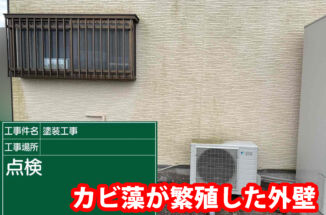 土浦市：３年前に塗装したのに苔？！汚れてしまった外壁を強力洗浄剤でメンテナンス！