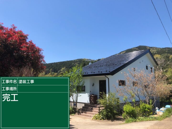 石岡市でツタの絡まった外壁のツタ除去と外壁塗装をしたお客様の声