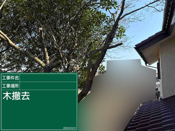 庭木剪定