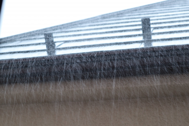 雨樋、詰まり