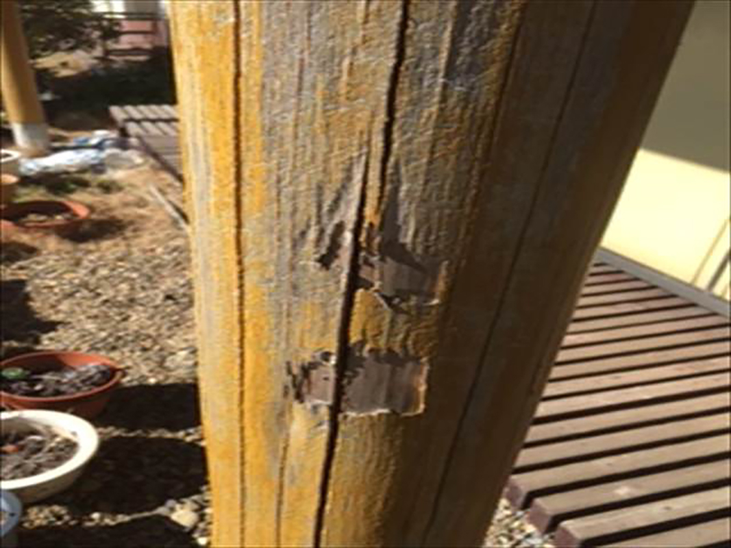 化粧柱も塗膜の剥がれと木材の傷みがあります。