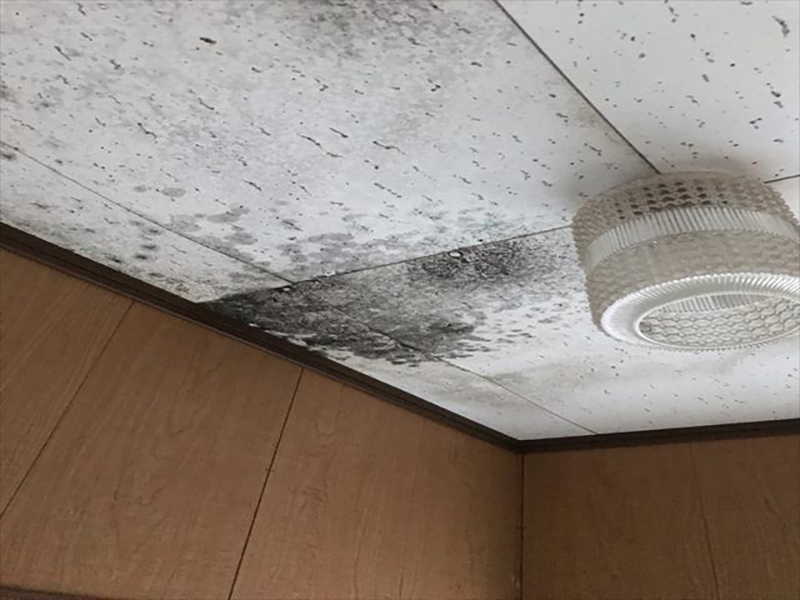 天井は雨漏りにより黒いシミができてしまっていました。