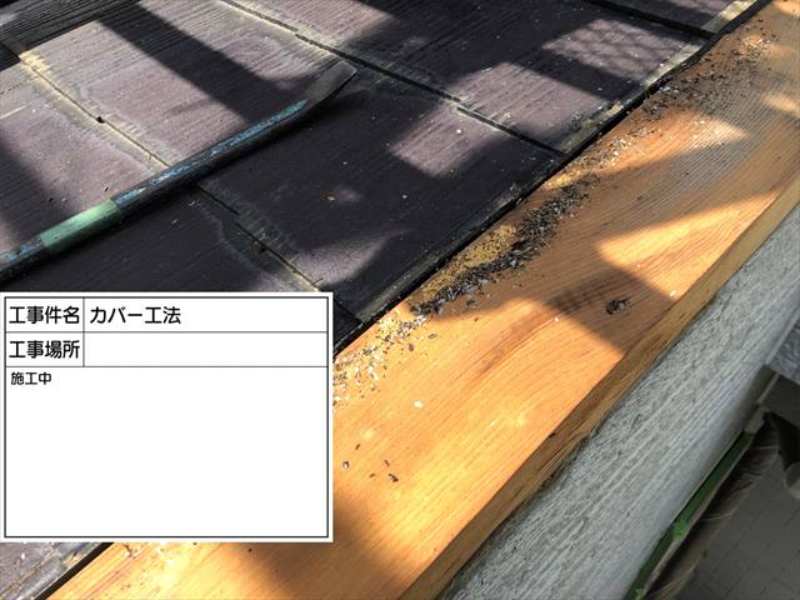屋根の木部が見えている写真