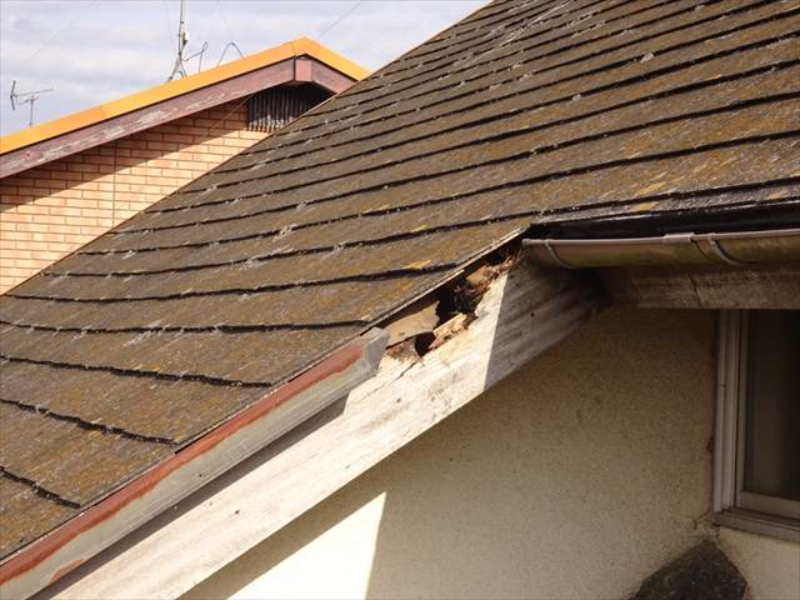 つくば市・屋根の現場調査。スレート屋根は劣化し変色、破風板には穴が開いていました！