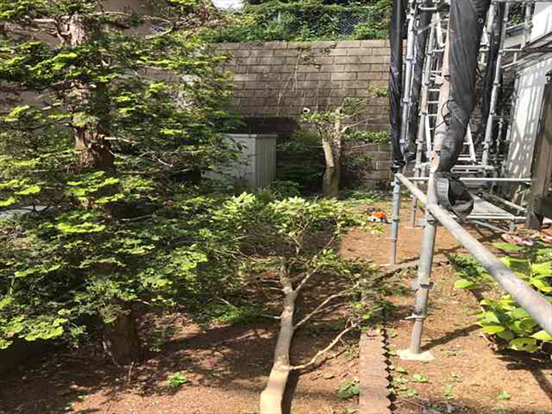 かすみがうら市空き家再生現場に足場設置！庭の植栽も伐採してスッキリしました