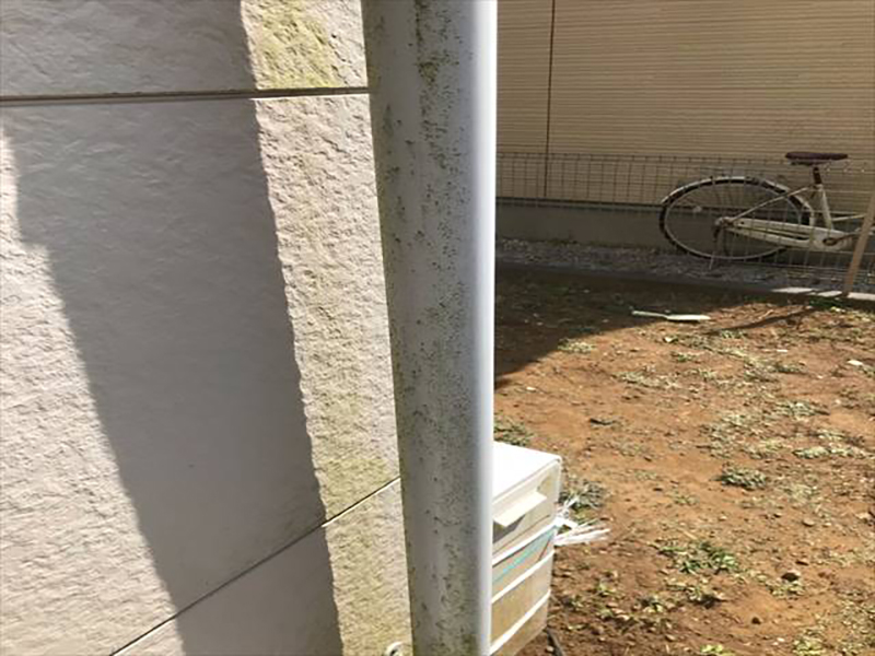 雨樋の汚れに加え、雨樋の影になっている外壁に苔が生えているのがわかります。  防水性が失われたため、苔の胞子が付着して育ったものです。