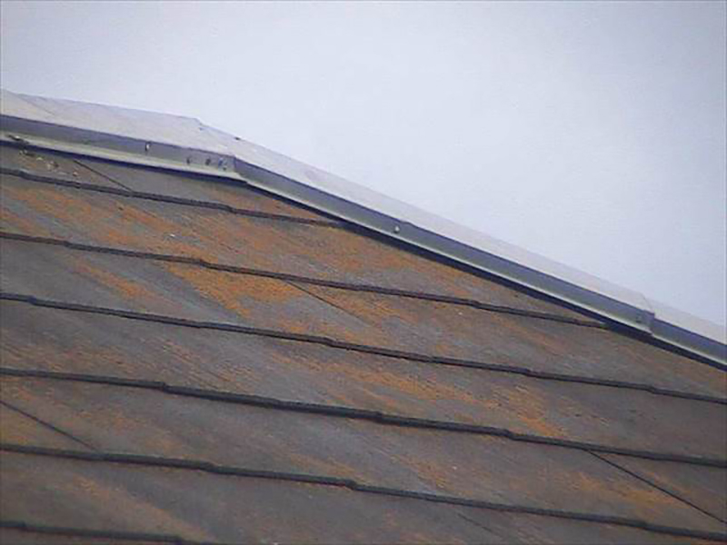 屋根材の浮きと苔の様子です。屋根材の塗膜が劣化して耐水性が落ちると、屋根材が水分を帯びて空気中に漂っていた苔の胞子が付着し、屋根に苔が生えてしまいます。