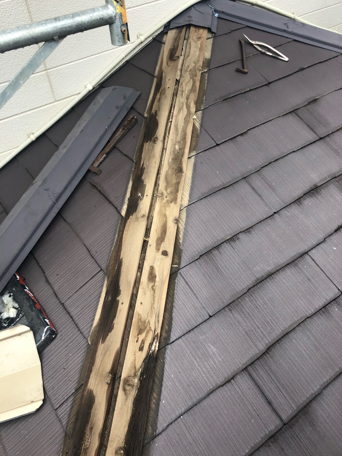 板金を剥がしますと、貫板がかなり傷んでいました。  屋根を傷つけないように、丁寧に撤去します。
