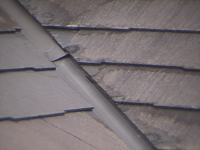 こちらは日が当たりにくい上に、塗膜が劣化して防水性が低下しているため、屋根材が水を含んでいる状態です。