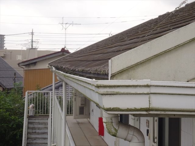 高所カメラでアパート2階部分を横からみた様子、屋根と雨樋に苔が生えている
