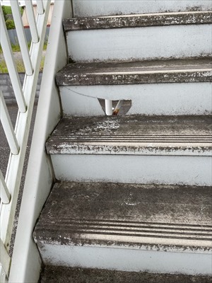 外部階段の写真、破損して穴が空き向こう側がみえている