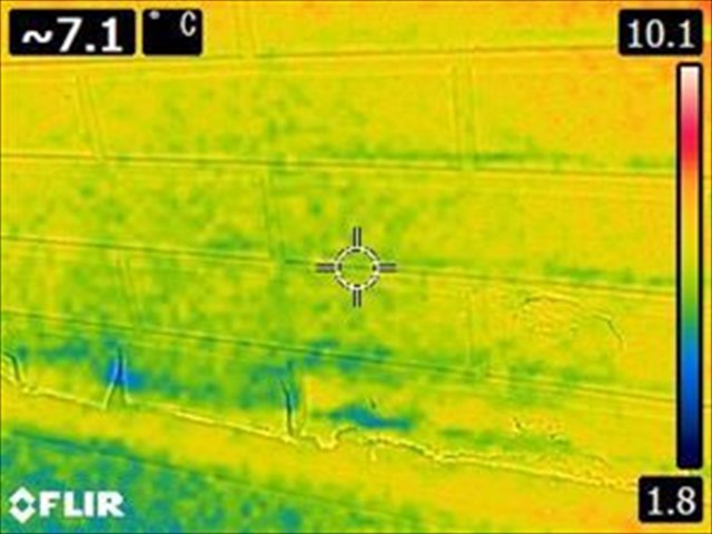 サーモグラフィー、黄色い一面に被害にあった部分が青くなっている