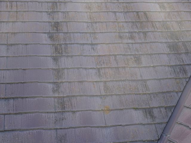 苔が多く黒ずんでいるスレート屋根の様子