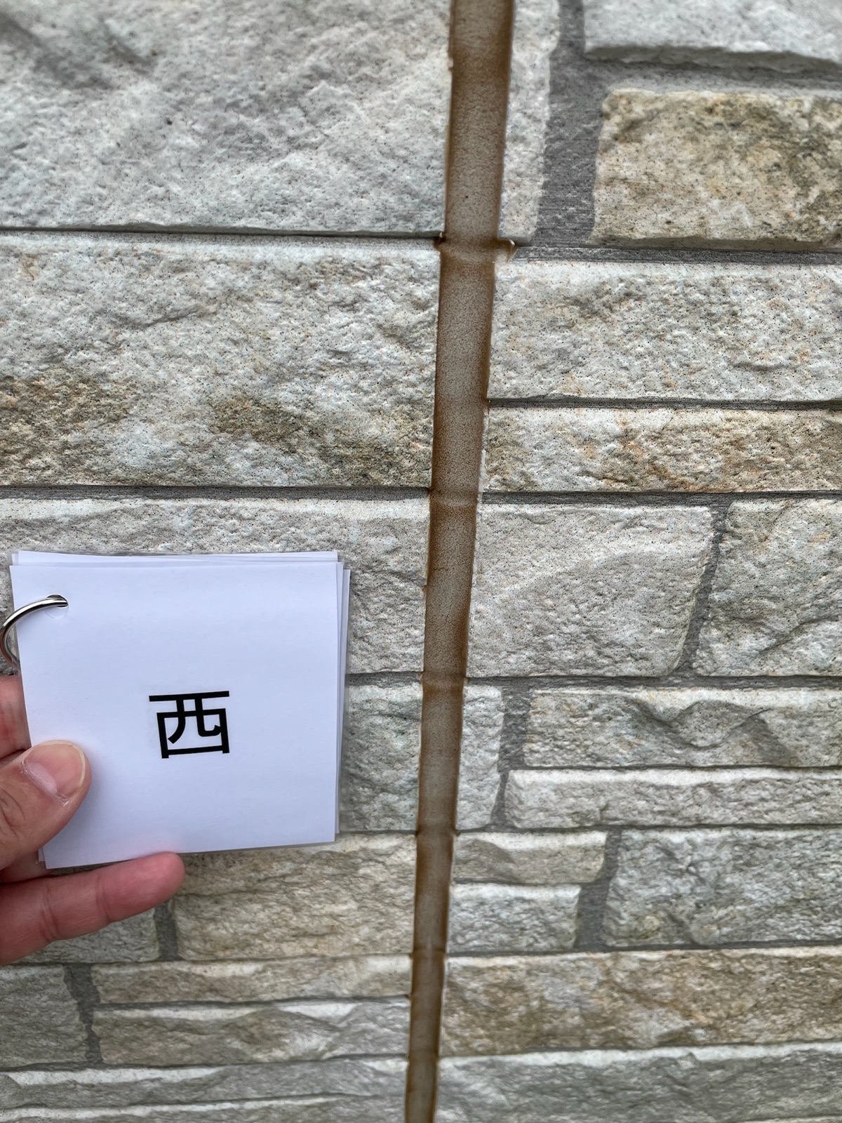 現場調査外壁_西